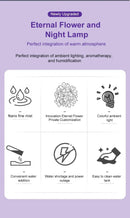 Mini Umidificador de Ar de Mesa para Casa e Escritório com Umidificação Silenciosa