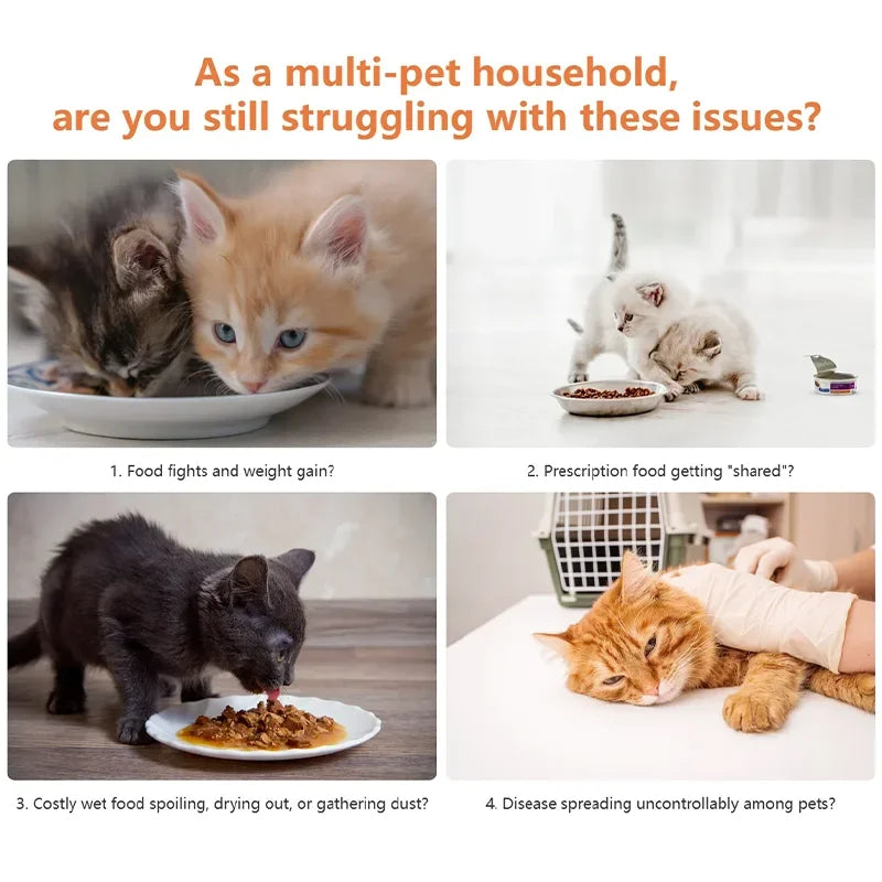 Alimentador Automático para Cães e Gatos, Sensor de Reconhecimento por Chip de Substituição Antifurto